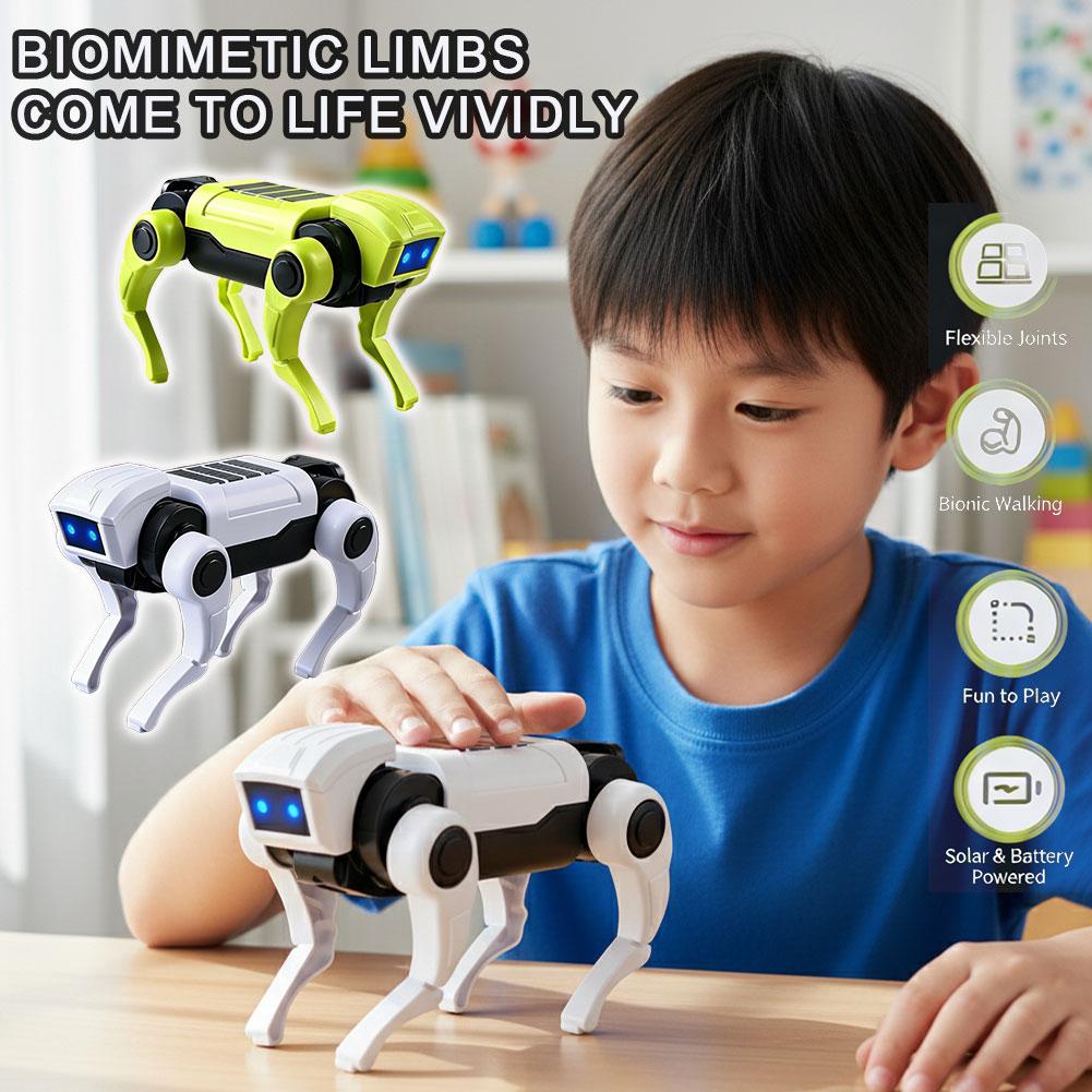 Science Project Diy - DIY Assembly RC Robot Dog Toy