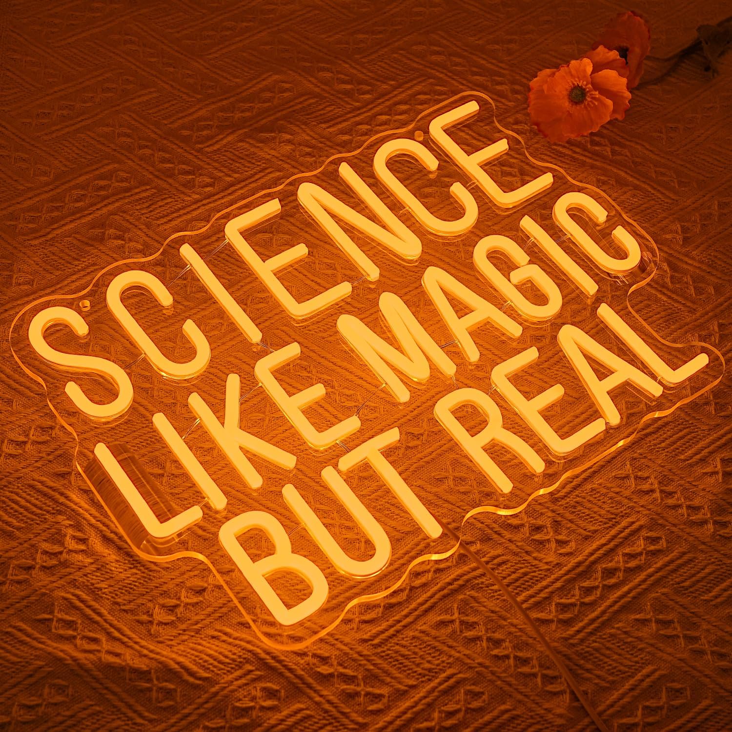 Science Like Magic But Real Ne - огляд і ціна Science Hobbyist