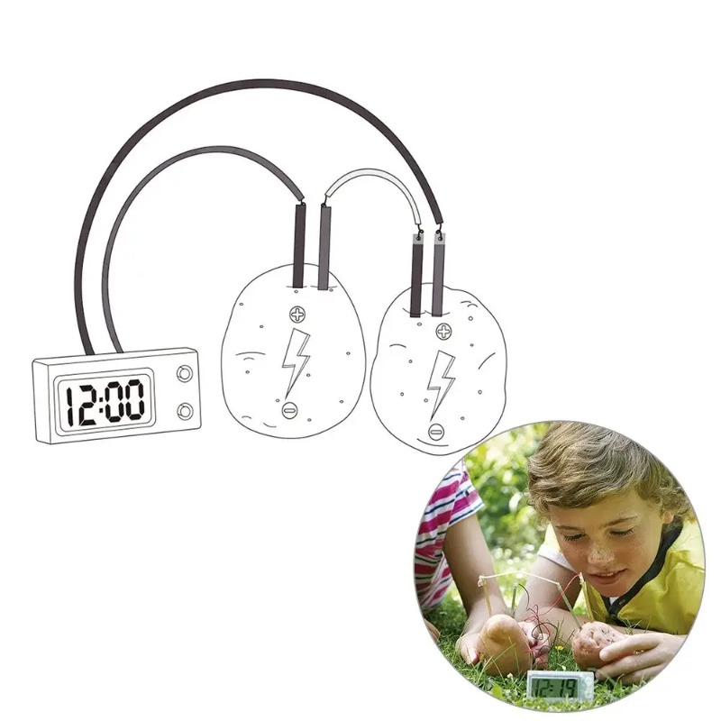 New Kid Montessori Toy Fruit P - огляд і ціна Science Nature