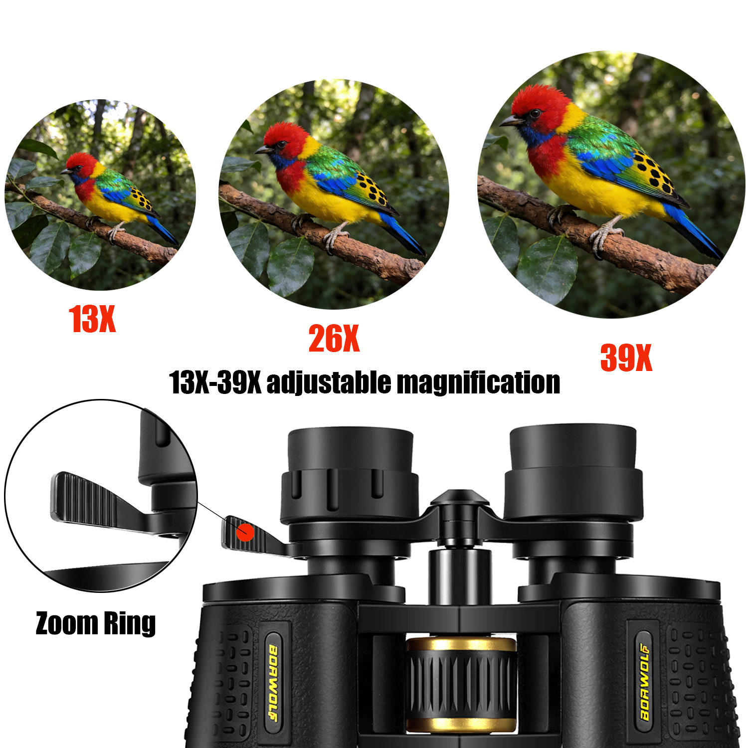 BORWOLF 13-39X70 ED High Magni - огляд і ціна National Geographic Telescope 70Mm